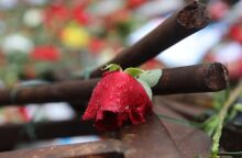 Πολυτεχνείο 2025: Για ποιους είναι αργία η 17η Νοεμβρίου και για ποιους όχι