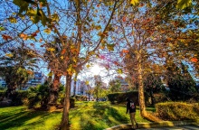 Ηλιοφάνεια