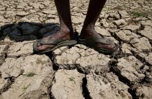 Νέα έρευνα υπολογίζει ότι οι πολιτικές Τραμπ για το κλίμα θα αυξήσουν δραματικά τους θανάτους από υψηλές θερμοκρασίες - Καταστροφικές συνέπειες για φτωχές χώρες