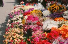 Εορτολόγιο: Σήμερα 21 Νοεμβρίου 2025 γιορτάζει…