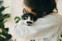 Βίντεο δείχνει πώς βλέπουν και ακούνε οι γάτες τους ανθρώπους - Οι γάτες βλέπουν με 100 καρέ/δευτερόλεπτο, αντιλαμβανόμενες τον κόσμο πιο γρήγορα.