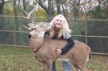 Γυναίκα στο Οχάιο πέθανε μετά από επίθεση ελαφιού που είχε διασώσει και φρόντιζε - Η κόρη της ξεκαθάρισε ότι δεν ήταν το πρώτο ελάφι που είχε σώσει.