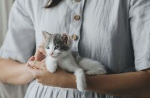 Νέα μελέτη αποκαλύπτει ότι οι γάτες εξημερώθηκαν μόλις πριν 4.000 χρόνια στη βόρεια Αφρική, ανατρέποντας όσα πιστεύαμε για την ιστορία τους.