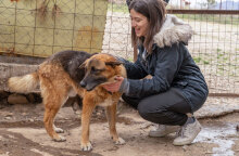 Kaizen Gaming | Ιστορίες που μας ενώνουν