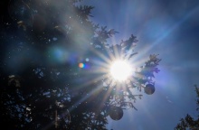 ήλιος πίσω από τα κλαδιά χριστουγεννιάτικου δέντρου