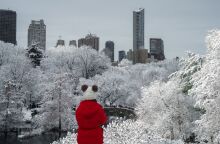 Χιόνια στη Νέα Υόρκη - Το Central Park χιονισμένο και μαγευτικό 