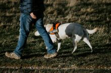 athensvoice_-_2026-01-13t195203_128