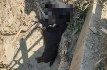 στιγμιοτυπο-οθονης-2023-02-21-191807