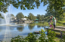 Περισσότερο πράσινο, λιγότεροι θάνατοι