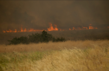 Φωτιά στην Αλεξανδρούπολη