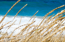 Ο καιρός αύριο, Παρασκευή 25 Αυγούστου