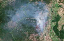 Παιδική ζημιά ή παγκόσμιος πόλεμος;