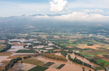Απολυμάνσεις σε σπίτια και ελέγχους σε χωράφια στη Θεσσαλία, προτείνει ο καθηγητής Σαρηγιάννης