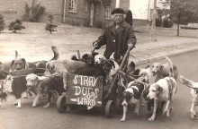 Kate Ward: Η γυναίκα που έσωσε πάνω από 600 ζώα στον Β' Παγκόσμιο Πόλεμο