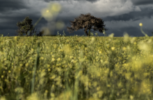 Κακοκαιρία - εξπρες την Κυριακή σε ορισμένες περιοχές - Πού θα κυμανθεί η θερμοκρασία