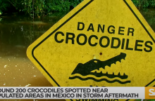 Κροκόδειλοι και πινακίδα για κίνδυνο