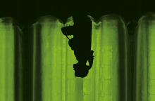 Alice Oswald: Πέφτοντας Ξύπνια