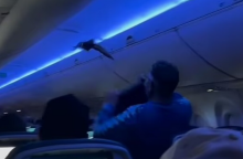 Απίστευτο περιστατικό σε πτήση της Delta -  Περιστέρια «επιβιβάστηκαν» στο αεροπλάνο