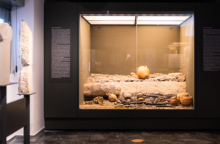 Το Mουσείο στην Αρχαία Ελεύθερνα που δημιούργησε ο καθηγητής Νίκος Σταμπολίδης 