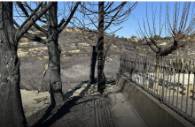 Φωτιά στη Λεμεσό