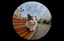 Παγκόσμια Ημέρα Ζώων