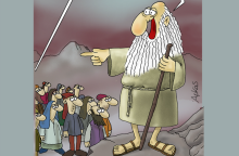 arkas1