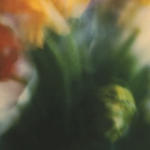 Ελισάβετ Μωράκη, It's Always the Sun