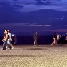 Βρήκαμε μια νέα γάτα, κι αυτά είναι καλά νέα