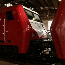 Αμαξοστοιχία από Χαλκίδα για Αθήνα προσέκρουσε σε πεσμένο δέντρο