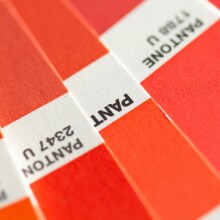 PANTONE 2347-U ©Christina Rumpf unsplash