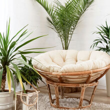 Τα ιδανικά φυτά για κάθε δωμάτιο στο σπίτι