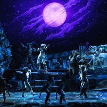 Cats στο Christmas Theater