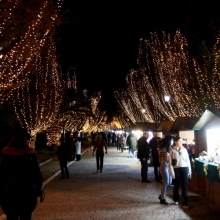 το Χριστουγεννιάτικο Χωριό στο Πεδίον του Άρεως