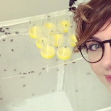 Ποια είναι η επιστήμονας που χρησιμοποιεί έντομα για να ξεσκεπάσει ανεξιχνίαστους φόνους;