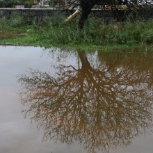 Σε κατάσταση έκτακτης ανάγκης κηρύχθηκε το Καστελόριζο, λόγω της κακοκαιρίας Byron