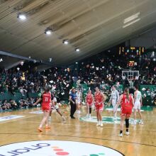 Λεωφόρος: Πράσινες κερκίδες, μεγάλα χαμόγελα | Λούτρινα κουκλάκια στο παρκέ για το «Χαμόγελο του Παιδιού»