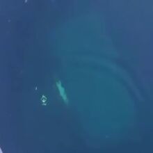 To αυτοκίνητο των άτυχων Κινέζων στη παγωμένη λίμνη Βαϊκάλη