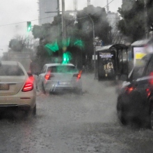 Διακοπή κυκλοφορίας στην οδό Πειραιώς από πτώση δέντρου