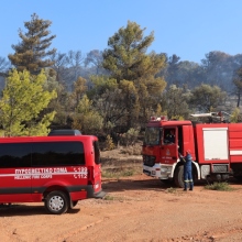 Φωτιά σε δασική έκταση στην Άμπελο Αχαΐας