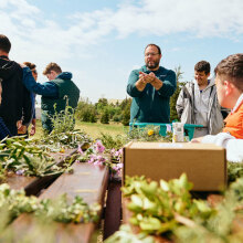 Αναδάσωση της Motor Oil