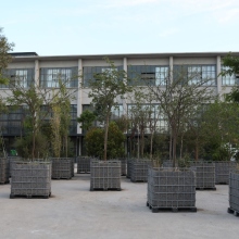 Attracted to trees: Μια βραδιά νέων περφόρμανς στην Πειραιώς 260