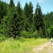Wellness, κρασί και φύση: Ανακαλύπτοντας τη μαγεία της Δράμας
