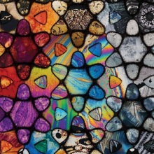 «Phenomena» του Τζόζεφ Γκάτι, Διαγωνιστικό Τμήμα, 32ες Νύχτες Πρεμιέρας