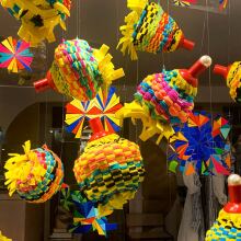 Paolia, "Undomesticated"