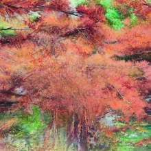 «Το τραγούδι της γης» στο Μητροπολιτκό Πάρκο «Αντώνης Τρίτσης»