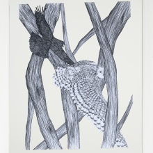 Αλεξία Ιμάνο Μαρούλη, "The predator"