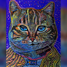 Θαλής Παπακωνσταντίνου, «Τhe spirit of captain space»