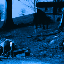 Paradoxes στην γκαλερί o.art.ath