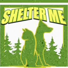 «Shelter Me» στο Θέατρο Ρεματιάς: Συναυλία ενίσχυσης του Φιλοζωικού Συλλόγου Αιγιάλειας «Τα Φιλαράκια»