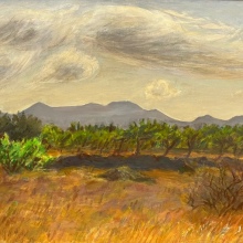 «Λόγω φωτός: το ίχνος της Αίγινας» στηνεοσύστατη Δημοτική Πινακοθήκη Αίγινας